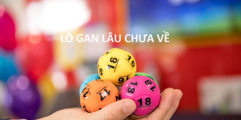 Kinh nghiệm chơi bao lô xỉu chủ theo lô gan